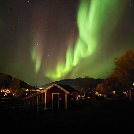 Hotel Koselig Dyregard I Tromsø Exteriér fotografie