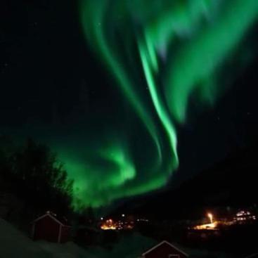 Hotel Koselig Dyregard I Tromsø Exteriér fotografie
