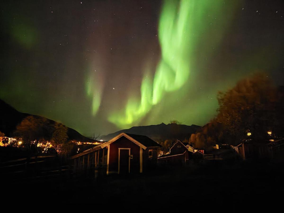 Hotel Koselig Dyregard I Tromsø Exteriér fotografie