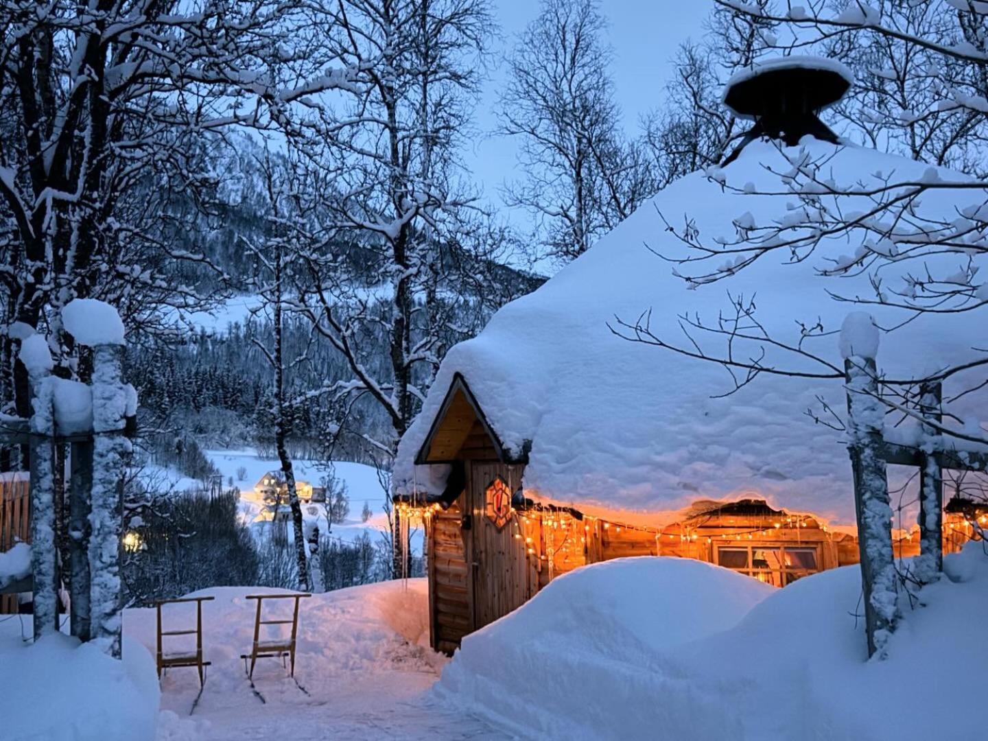 Hotel Koselig Dyregard I Tromsø Exteriér fotografie